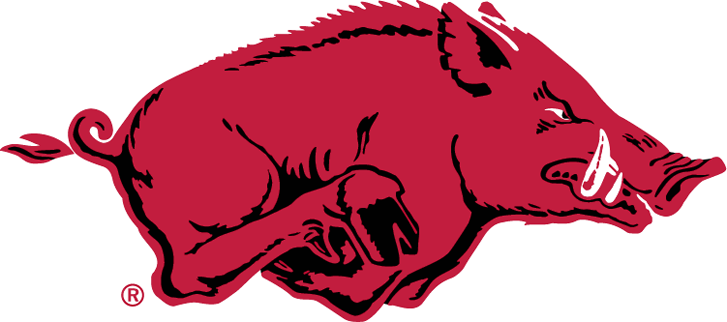 Arkansas Razorbacks 1967-2000 Primary Logo diy iron on heat transfer